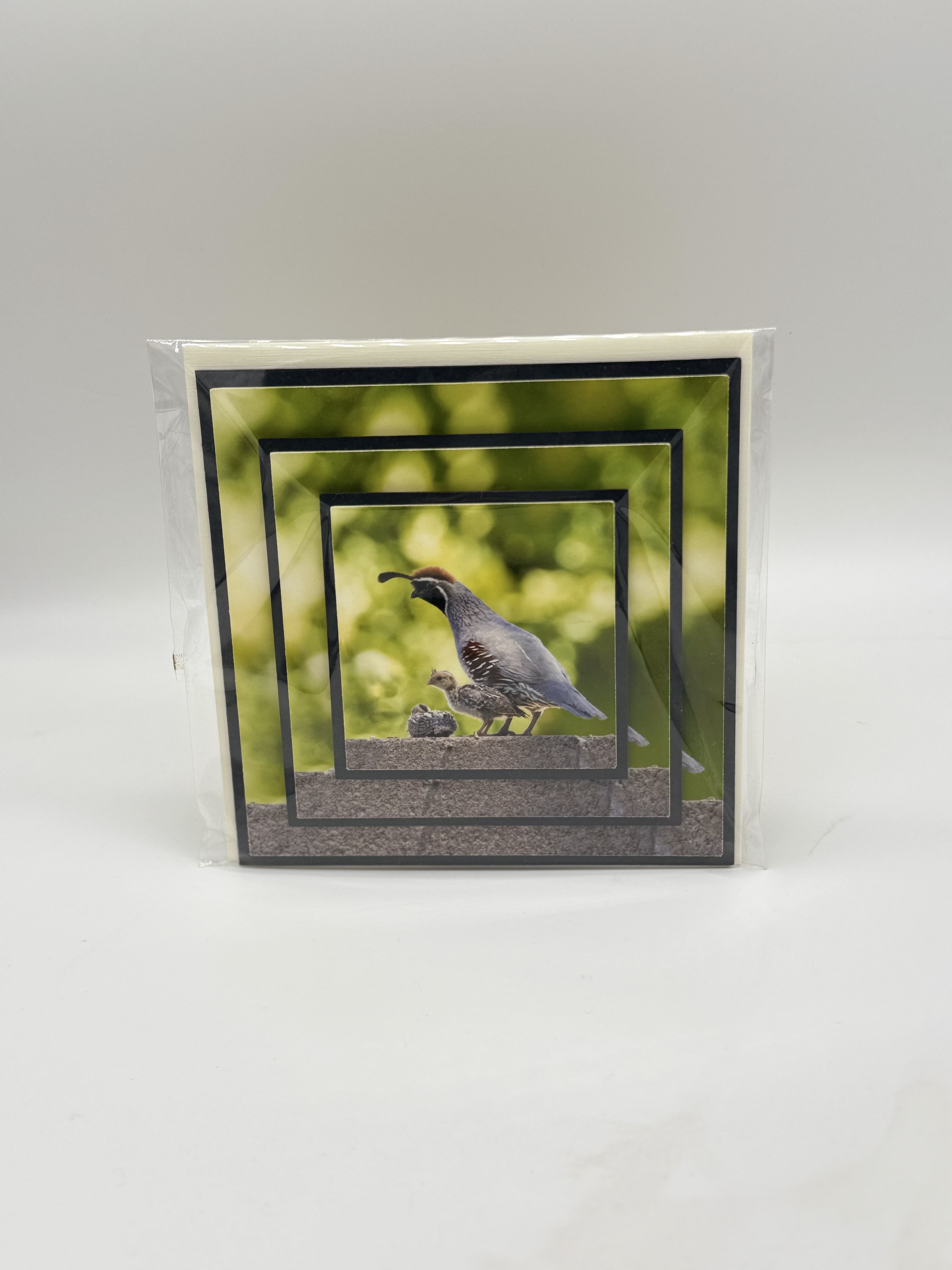 Product Image for Quail Greeting Cards 3D