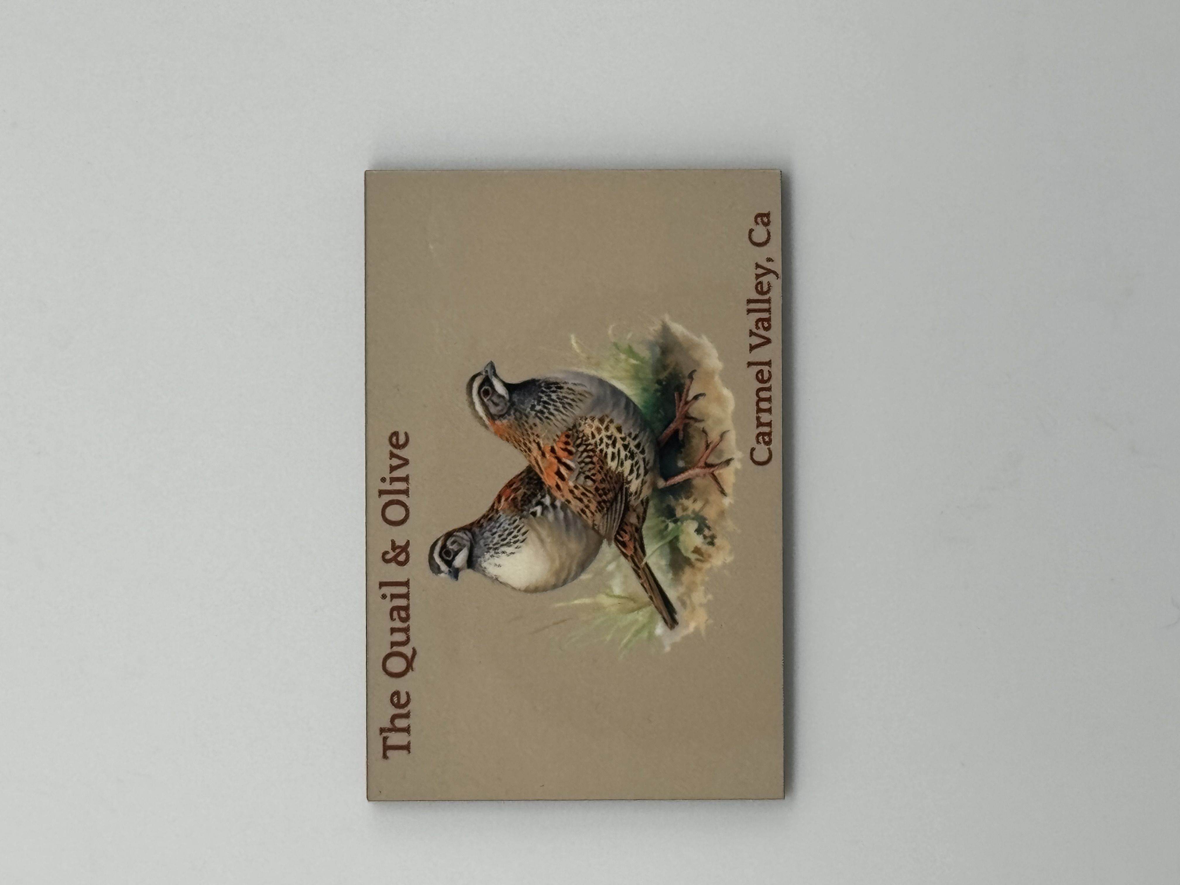 Product Image for The Quail and Olive Rectangular Magnet